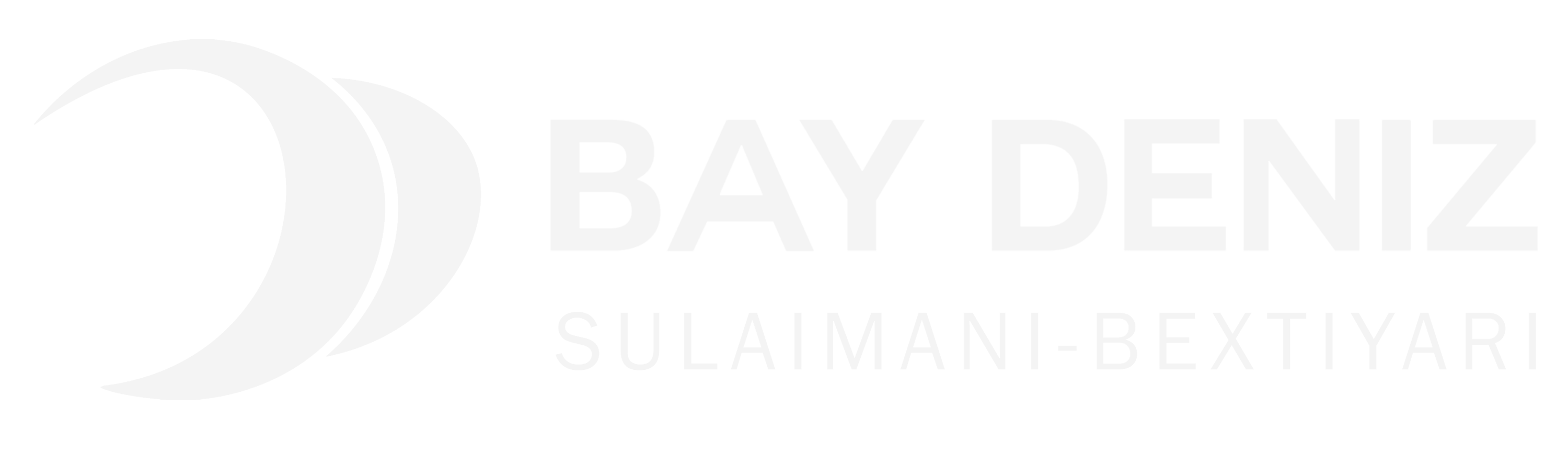 Bay Deniz Logo